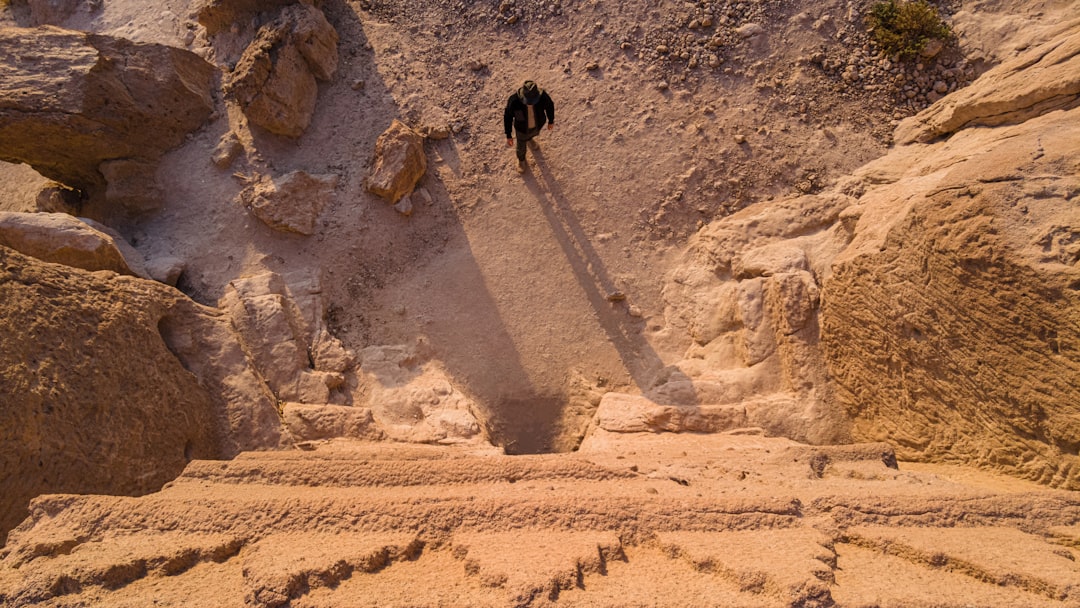 Sapiens: A Brief History of Humankind